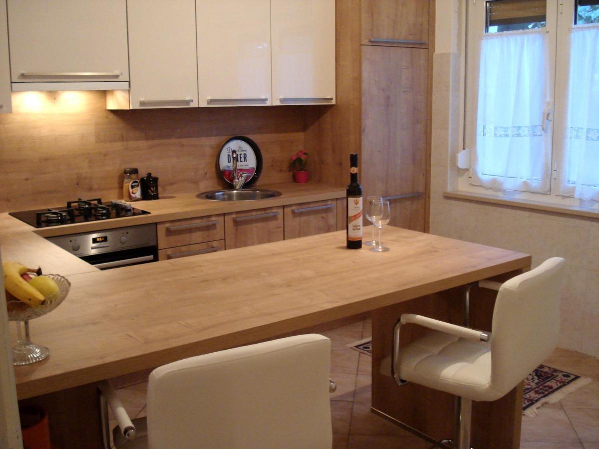 Apartment Casa Del Sol Novigrad  Zewnętrze zdjęcie