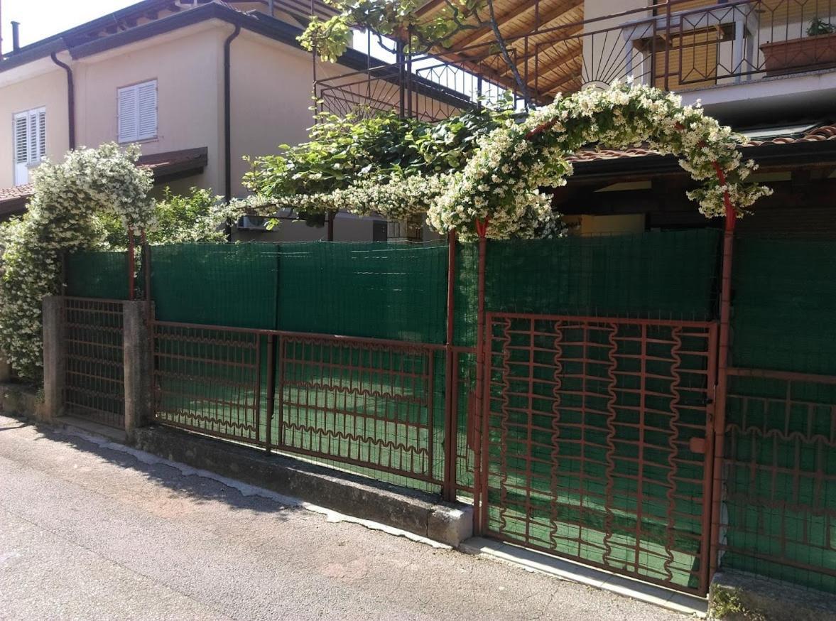 Apartment Casa Del Sol Novigrad  Zewnętrze zdjęcie